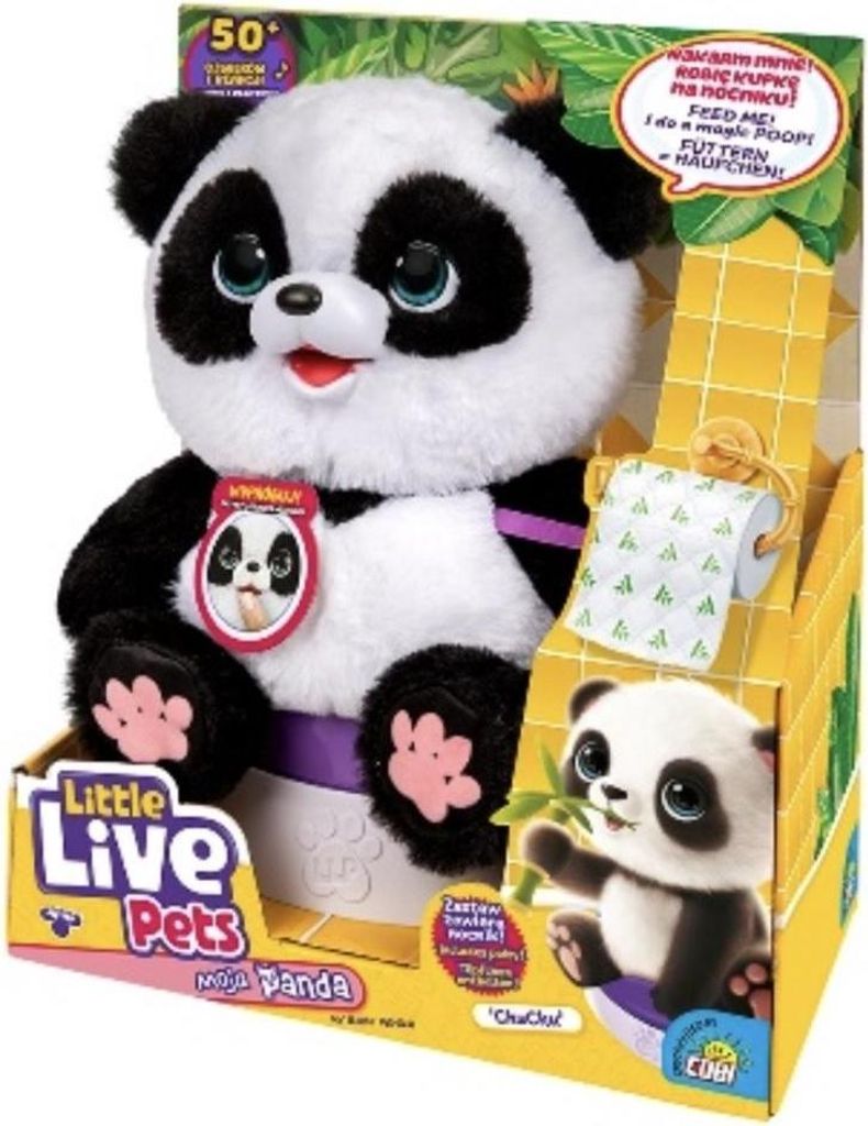 Kleine lebende Haustiere. Panda