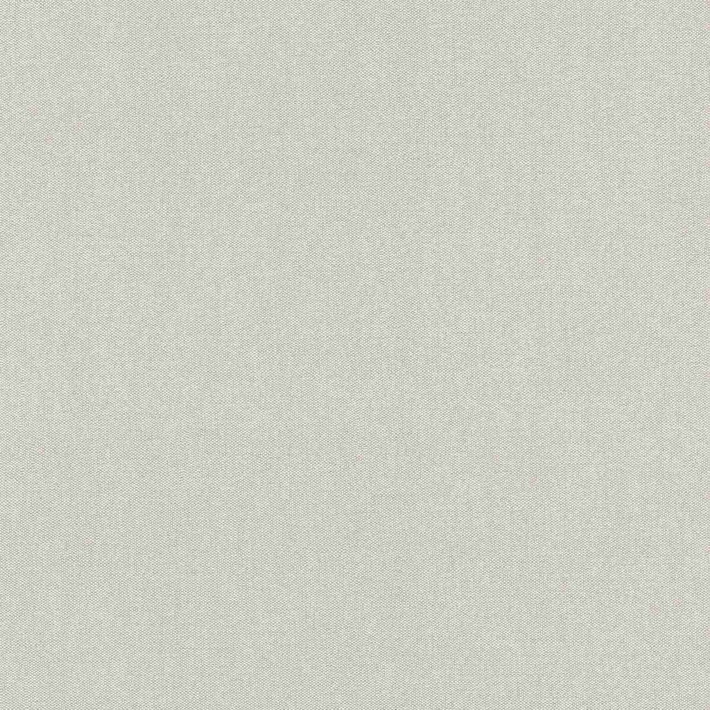 Rasch Vliestapete Color Your Life 633696 Uni Einfarbig Produktbild 
