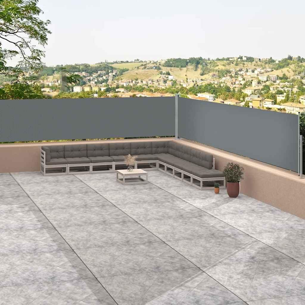 vidaXL Seitenmarkise Ausziehbar Anthrazit 117x1200 cm Produktbild 