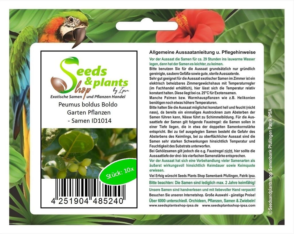 10x Peumus boldus Boldo Garten Pflanzen - Samen ID1014