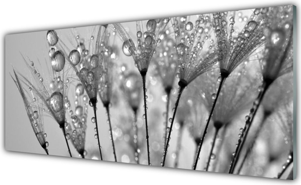 Küchenrückwand aus Glas 125x50cm Spritzschutz Pusteblume Pflanzen