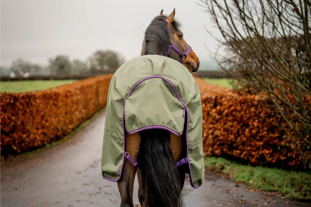 Couverture imperméable Amigo Hero 600D Ripstop Lite Horseware 6'9 - 4