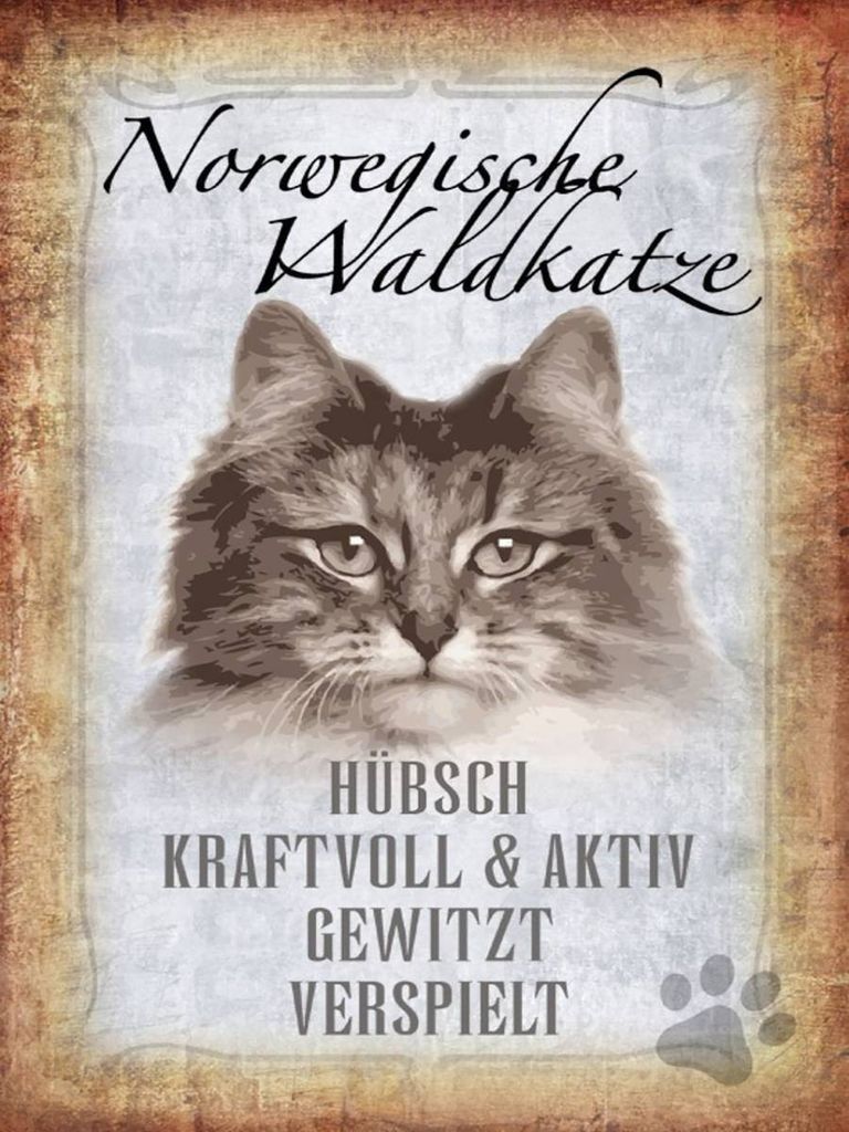 vianmo Holzschild 40x30 cm norvegische Waldkatze Katze Wanddeco