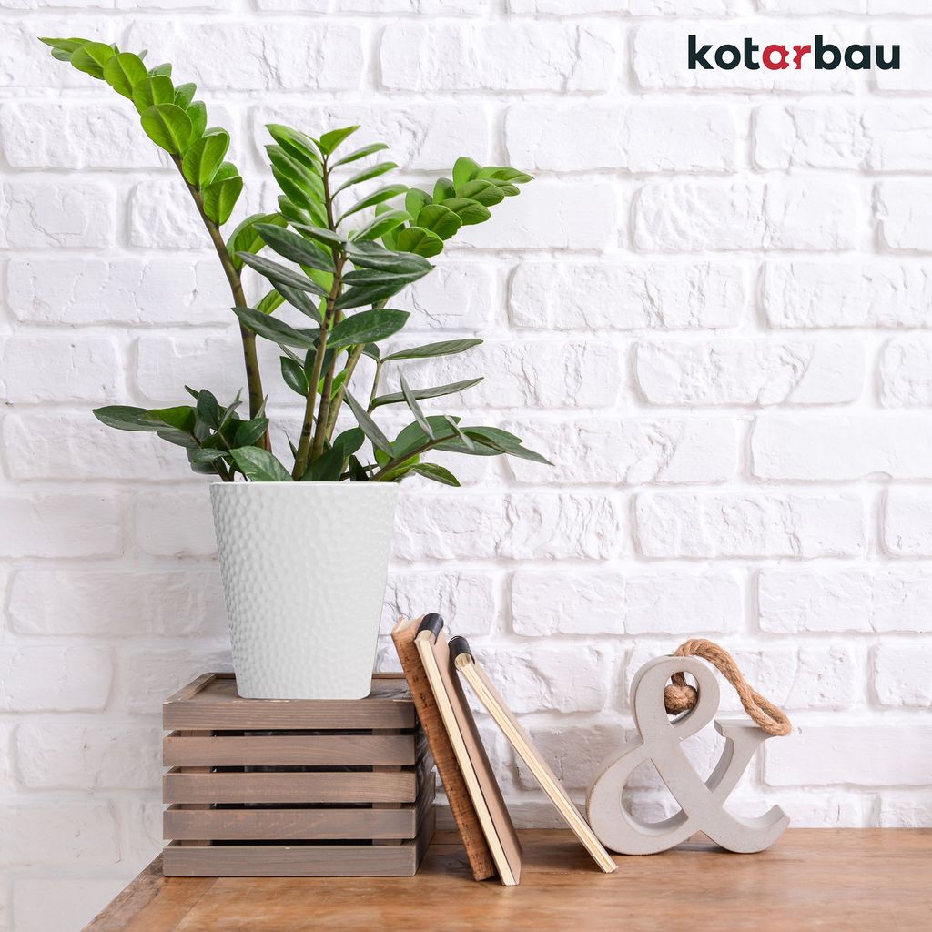 KOTARBAU® 2er Set Blumentopf Weiß Keramik glasiert ⌀ 12 cm