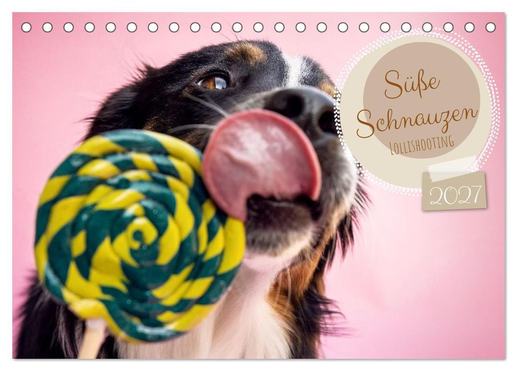 Süße Schnauzen (Tischkalender 2027 DIN A5 quer), CALVENDO Monatskalender