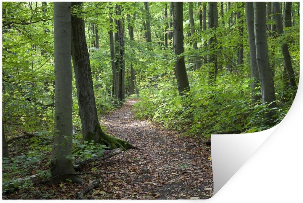 MuchoWow - Wierderverwendbar - Selbstklebend