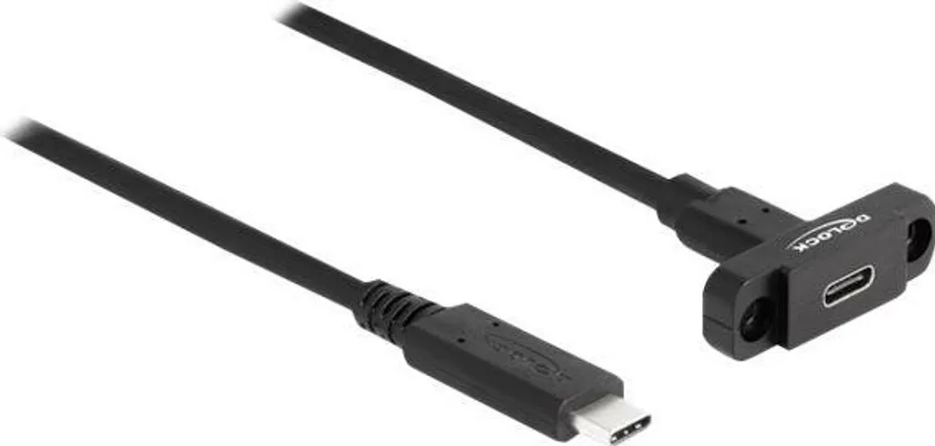 Cavo Prolunga USB-C Delock 87824 10Gbps | Montaggio a Pannello 1m