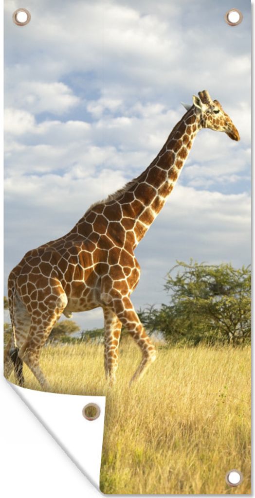 MuchoWow 30x60 cm Outdoor-Poster Gartendeko Sichtschutz Garten Poster für den Garten Giraffe - Himmel - Gras
