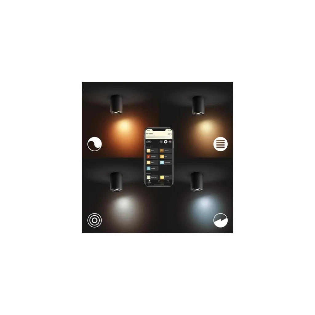Philips Hue White Ambience Pillar Spot Noir avec Télécommande Dimmer