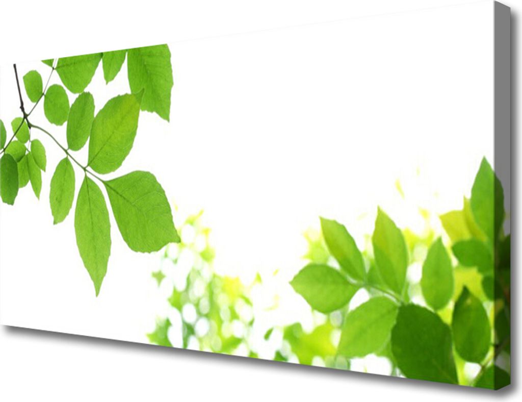 Tulup Leinwand-Bilder 100x50 Wandbild Canvas Kunstdruck Blumen Blätter Pflanzen
