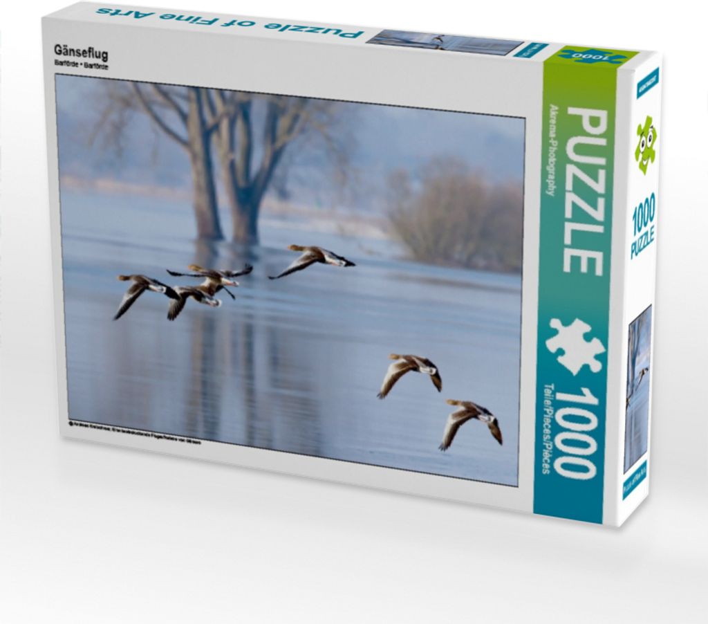 Calvendo Gänseflug 1000 Teile Puzzle quer 640x480mm, Produktbild 
