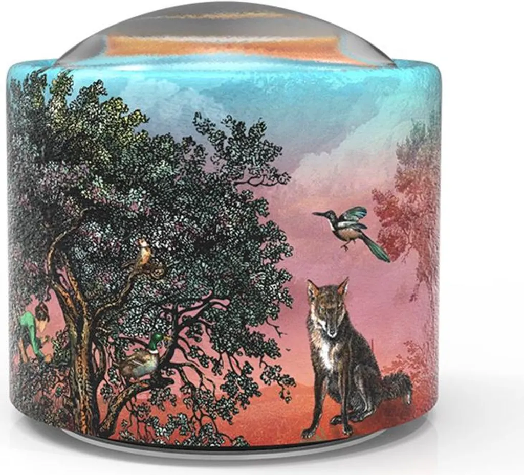 Boîte à musique enfant Pierre et le Loup décorative et multicolore