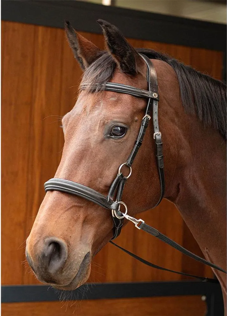Bridon sans Mors Sidepull Harrys Horse : Solution Confort Cheval VB - 6