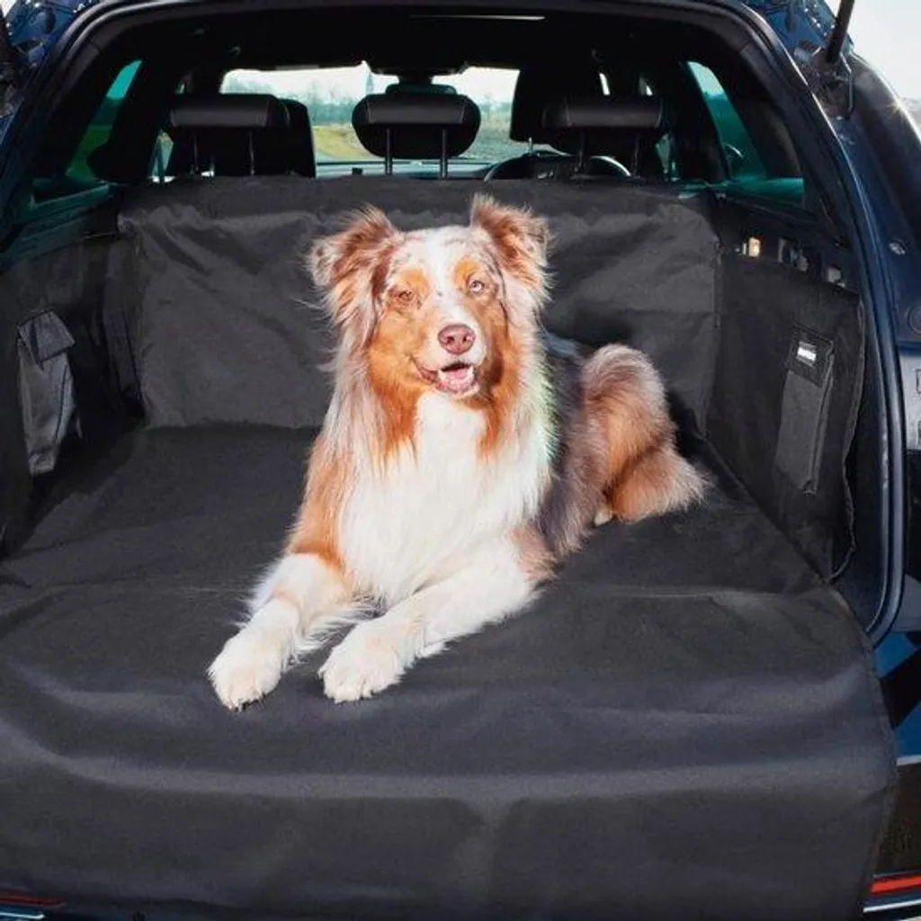 Tapis chien anti-griffes pour protéger vos sièges auto des salissures