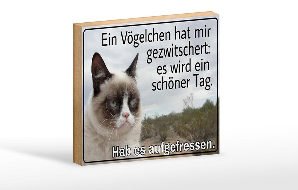 Holzschild Spruch 18x12cm Katze Vögelchen gezwitschert