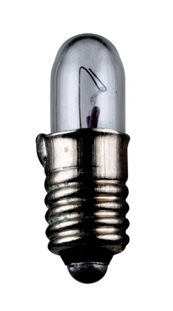 A close-up studio shot of a small incandescent light bulb with a screw base.