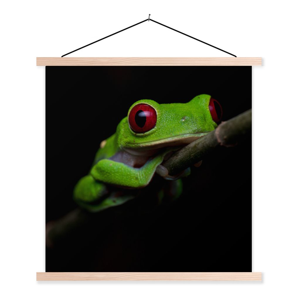 MuchoWow Textilposter Rotäugiger Quecksilberfrosch auf schwarzem Hintergrund 60x60 cm mit holzfarbenen Rahmen - Wanddekoration