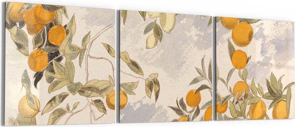DEQORI Glasbild Echtglas 3x50x50 cm 'Orangenpracht' Wandbilder XXL groß