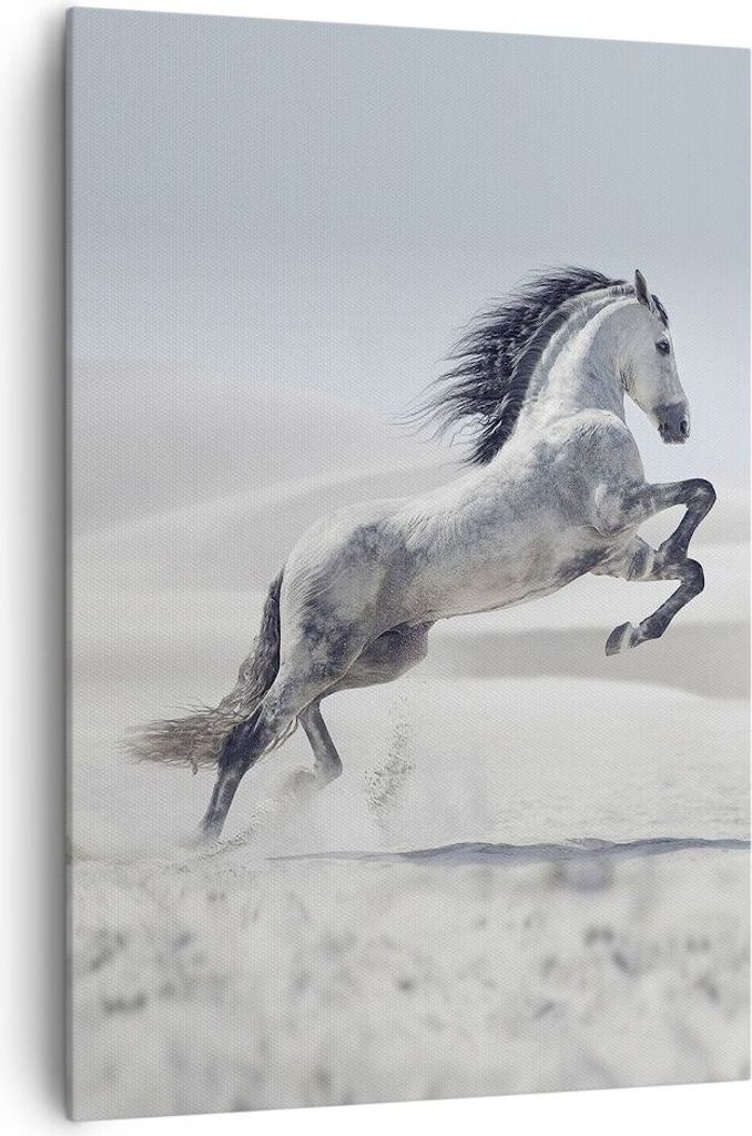 Bild auf Leinwand - Leinwandbild - Einteilig - Pferd Tier Natur - 70x100cm - Wand Bild - Wanddeko - Wandbilder - Leinwanddruck - Wanddekoration - L...