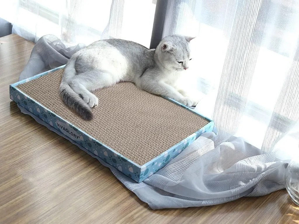 VIVAGLORY Arbre à Chat XL avec Griffoir en Carton et Herbe à Chat Incluse