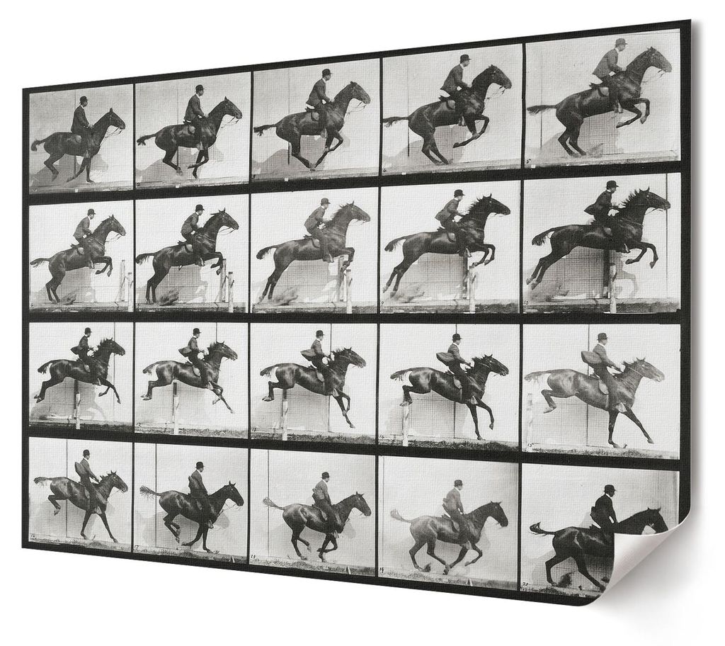 Reiten - Kunstdruck A4 - Collage, Fotografie- Wandbild für Wohnzimmer Schlafzimmer & Flur, Modernes Poster Wanddeko, Ungerahmt