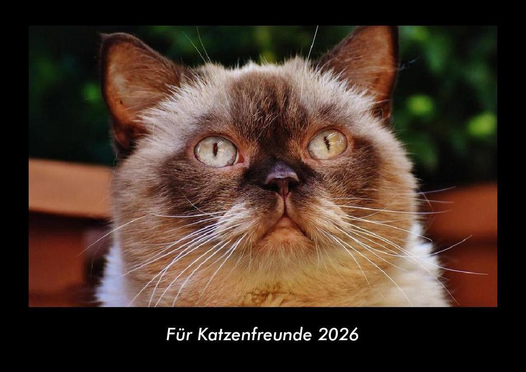 Für Katzenfreunde 2026 Fotokalender - Querformat DIN A3, Monatskalender mit Bild-Motiven von Haustieren, Bauernhof, wilden Tieren und Raubtieren