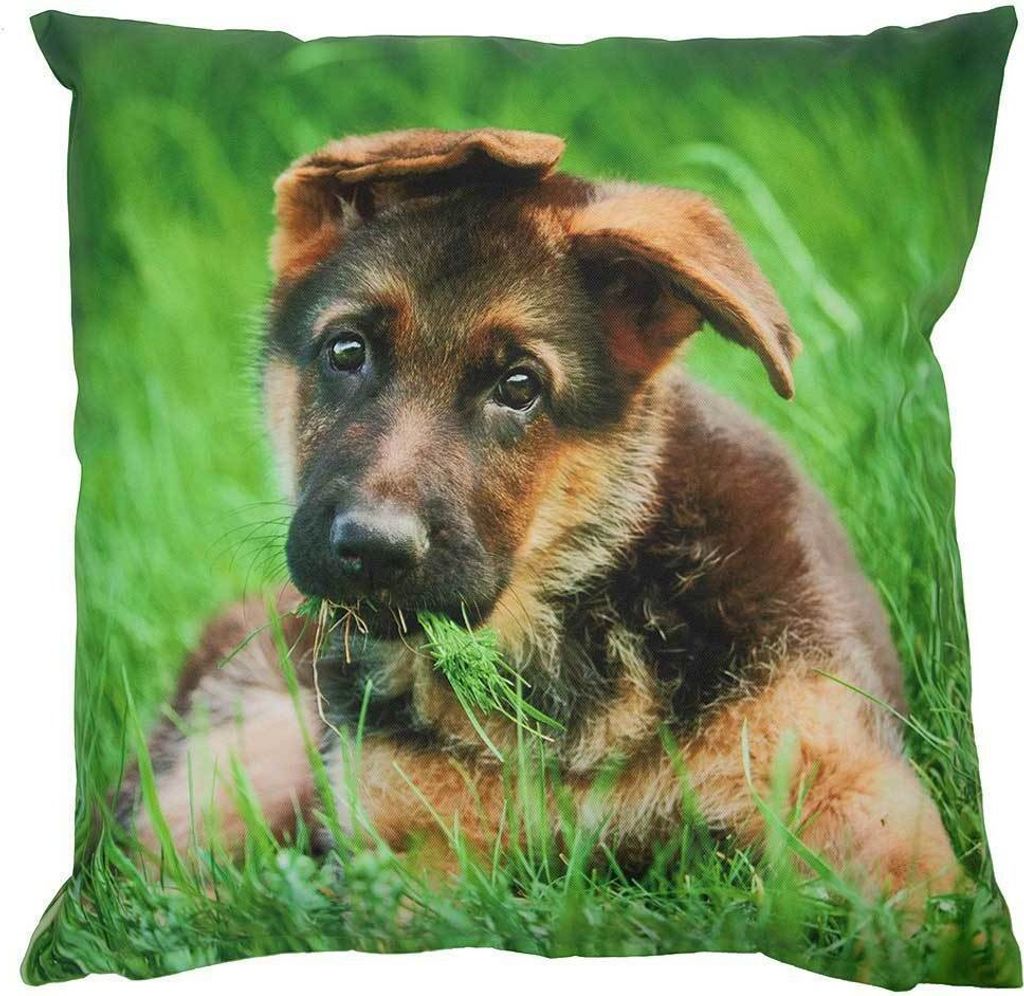 Outdoor Kissen Hund Welpe Schäferhund Gartenkissen Wasserabweisend : 50 x 50 cm Größe: 50 x 50 cm