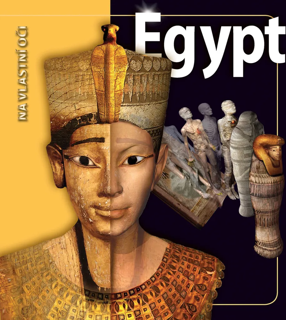 Livre Égypte Joyce Tyldesley avec illustrations 3D et schémas