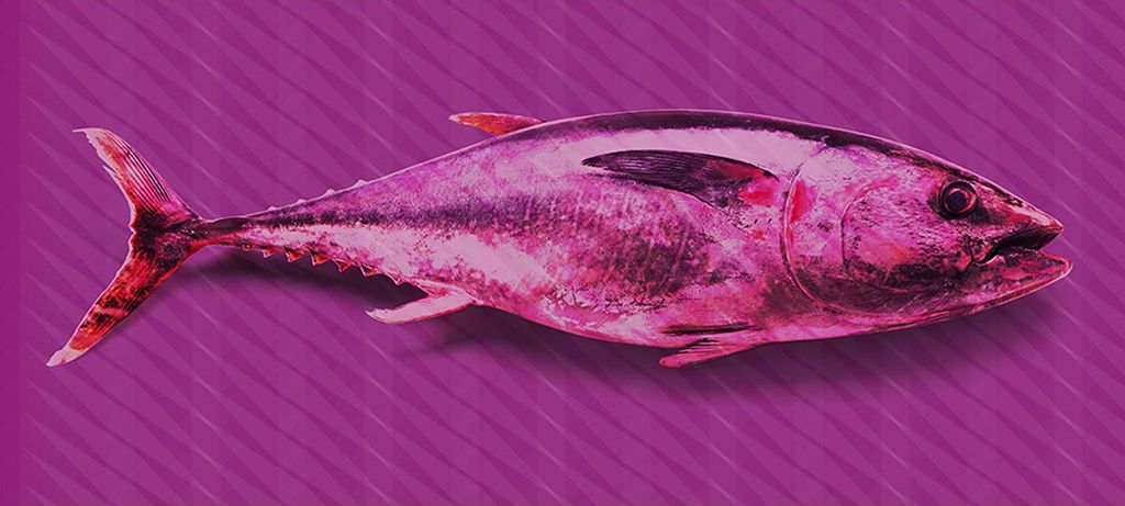 Tadessi Fototapete | Tiere | 6.00 m x 2.70 m | Lila | Rosa | Wandbild | Digitaldruck