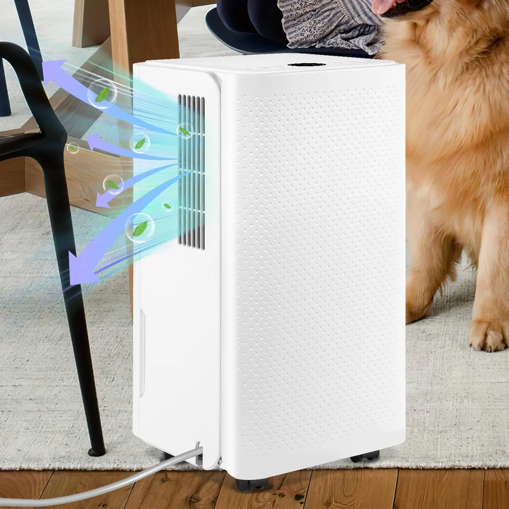 Miglior Deumidificatore Jayseuw 16L: Aria Sana in Bagno e Camera