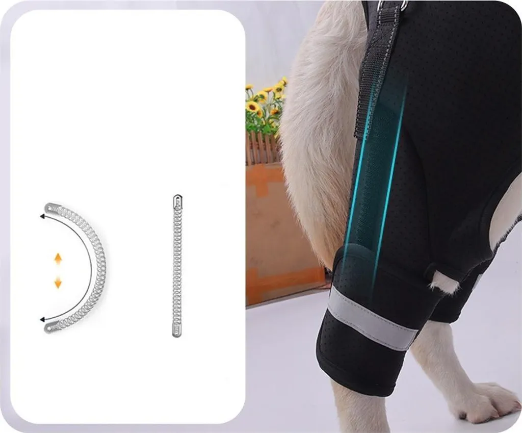 Supporto Posteriore Cane INF Taglia M - Riabilitazione e Post-Op - 5