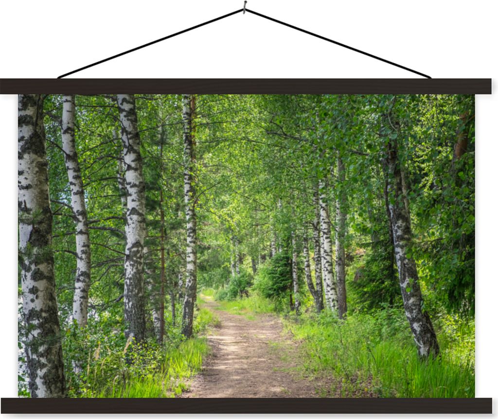 MuchoWow Textilposter Wald - Bäume - Birke 60x40 cm mit schwarzem Rahmen - Hölzernes