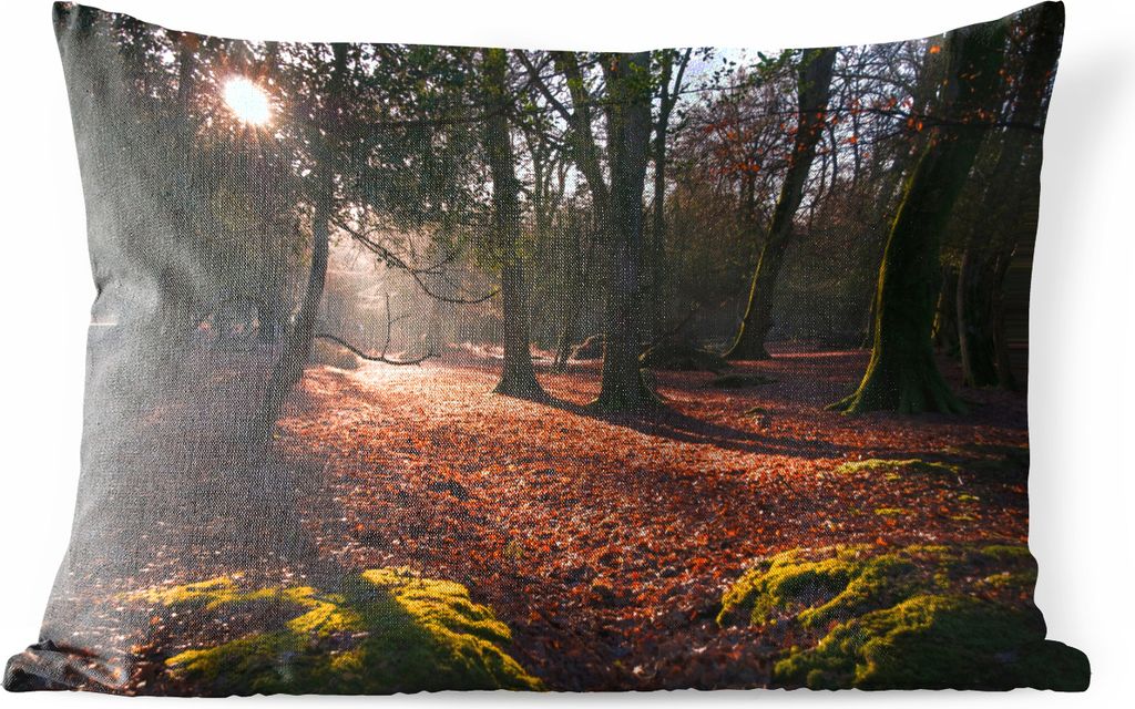 MuchoWow Outdoor Kissen - Sonne tanken in den Wäldern des englischen New Forest National Park - 60x40 cm - Wetterfest - Lounge Kissen - Zierkiss...