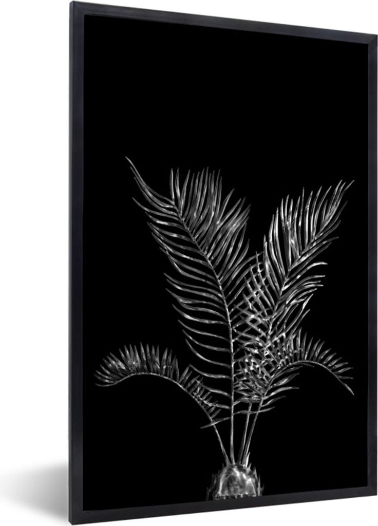 MuchoWow Gerahmtes Poster Blätter einer Palme auf schwarzem Hintergrund - schwarz und weiß 60x90 cm - Poster mit Schwarzem Bilderrahmen Wandpos...