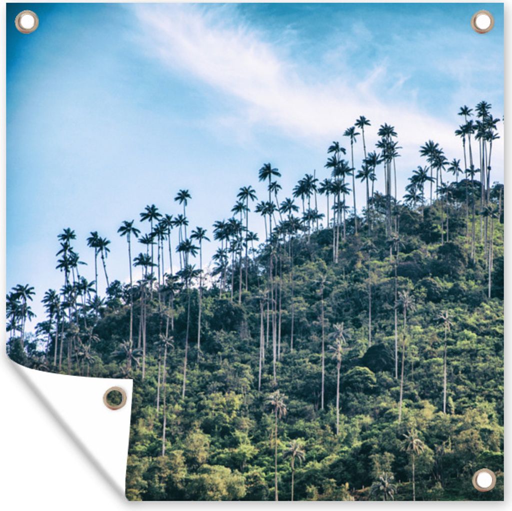 MuchoWow 50x50 cm Outdoor-Poster Gartendeko Sichtschutz Garten Poster für den Garten Kolumbien - Bäume - Berg