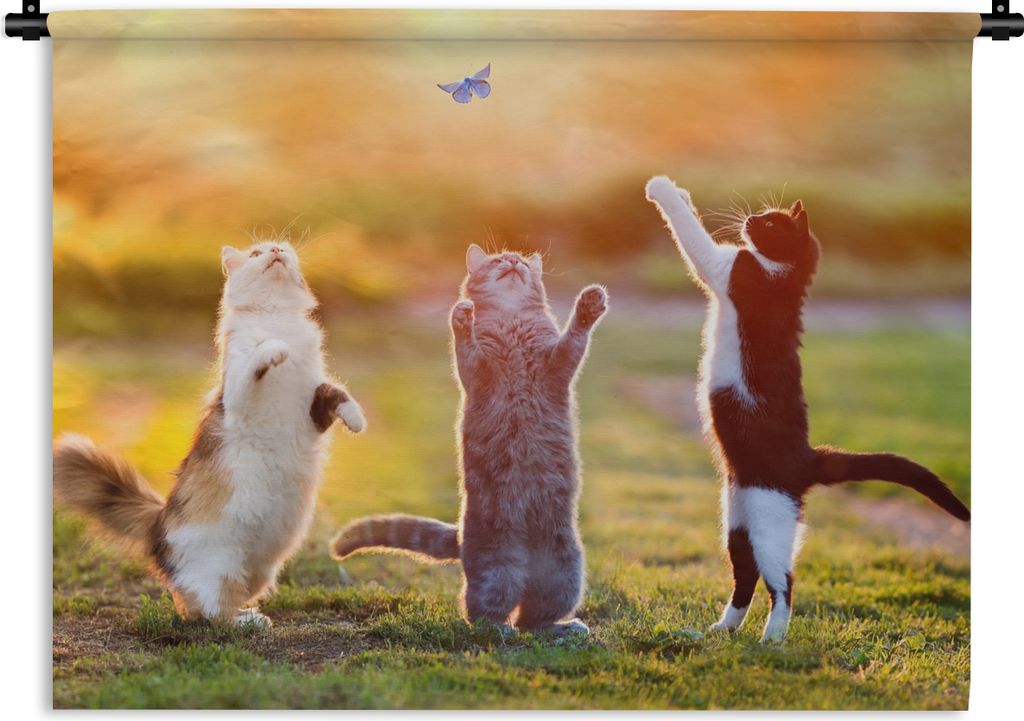 MuchoWow Wandteppich Wandbehang Katzen - Schmetterling - Sonnenuntergang - Gras - Natur 60x45 cm Tapisserie Dekoration Wandtuch - Das Schlafzimmer