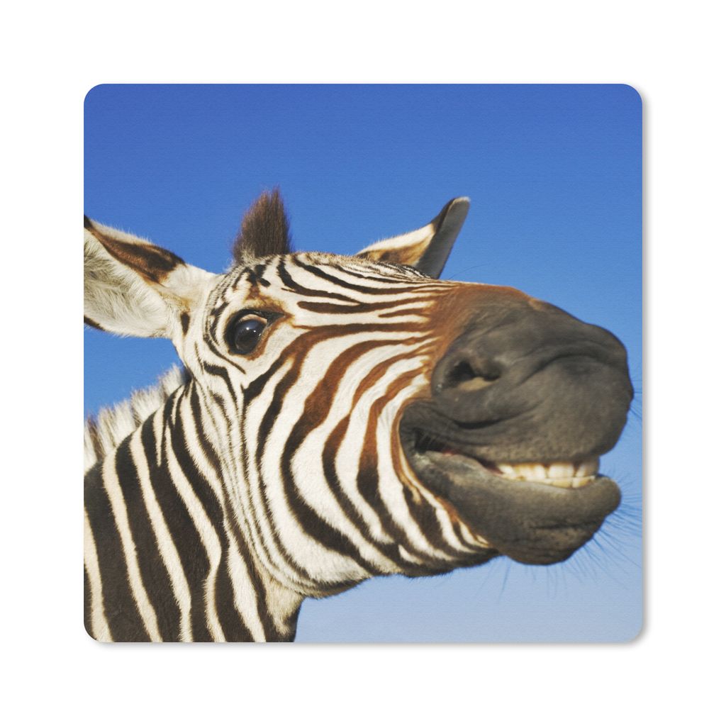 MuchoWow Mauspad Mousepad Zebra - Lustig - Kinder - Jungen - Mädchen 20x20 cm - Mousepads - Maus Mat - Pad - Mausunterlage - Desk Mat - Bureauar...