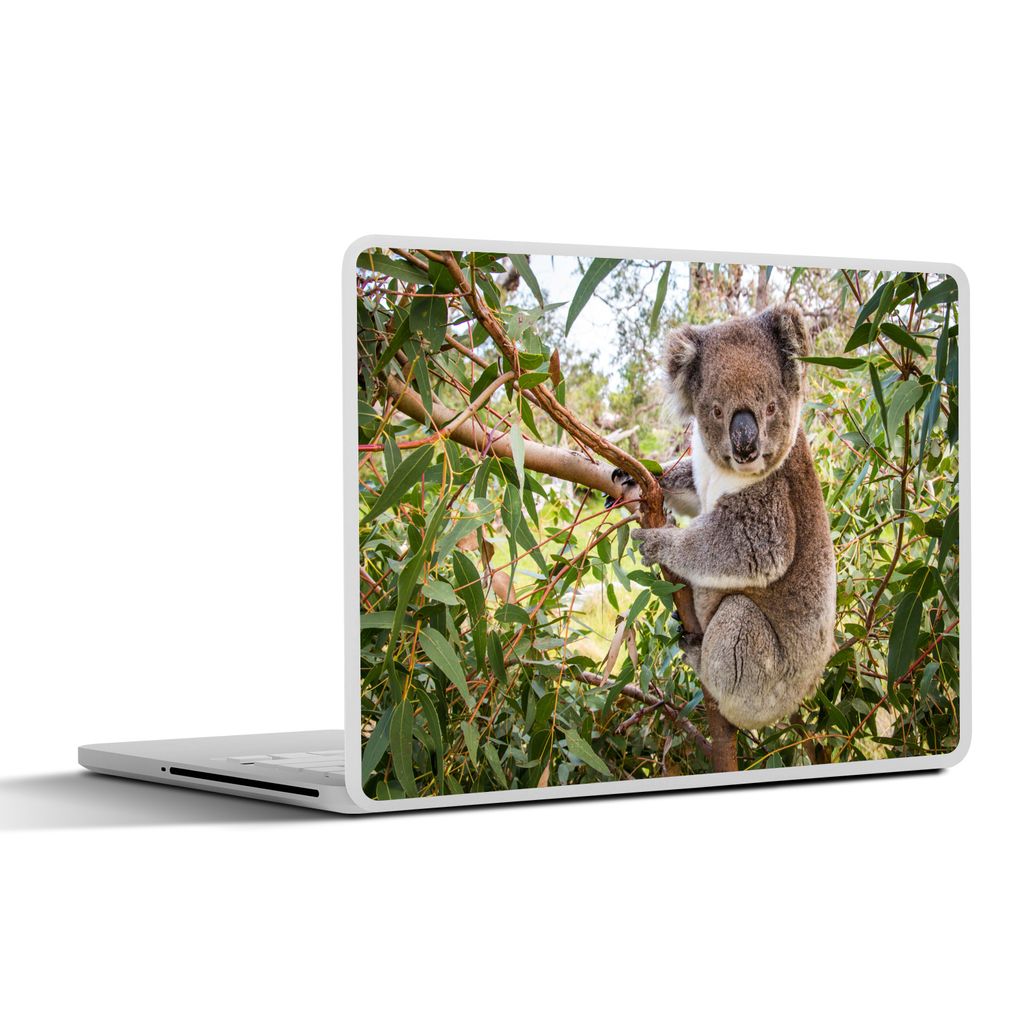 MuchoWow Laptop Aufkleber Sticker Cover Koala - Baum - Blätter - Kinder - Jungen - Mädchen 36.5x27.5 cm - Laptop-Sticker