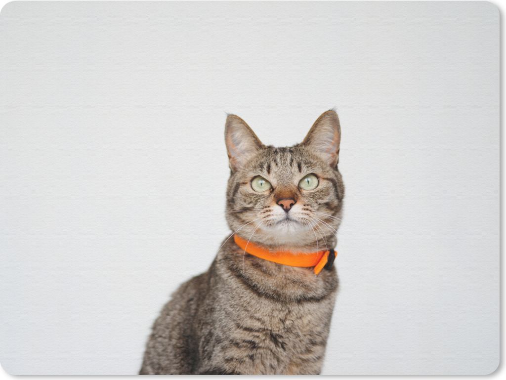 MuchoWow Mauspad Mousepad Katze - Halskette - Orange - Mädchen - Kinder - Jungen - Kinder 23x19 cm - Mousepads - Maus Mat - Pad - Mausunterlage ...