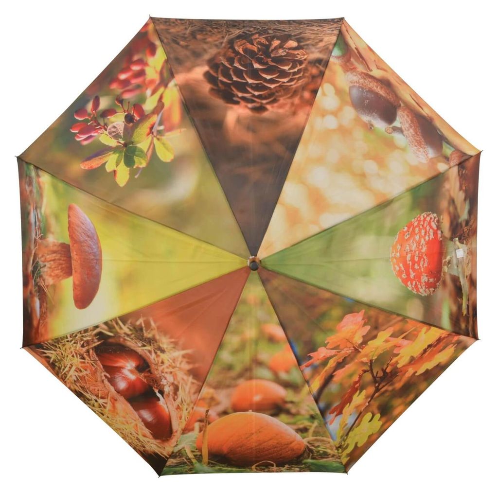 Regenschirm-Herbstmotive-Automatik