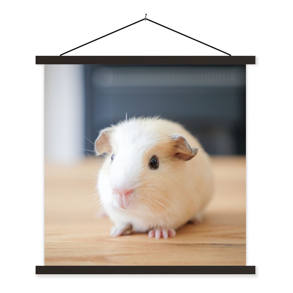 MuchoWow Textilposter Niedliches Baby-Meerschweinchen 90x90 cm mit schwarzem Rahmen - Magnetisches