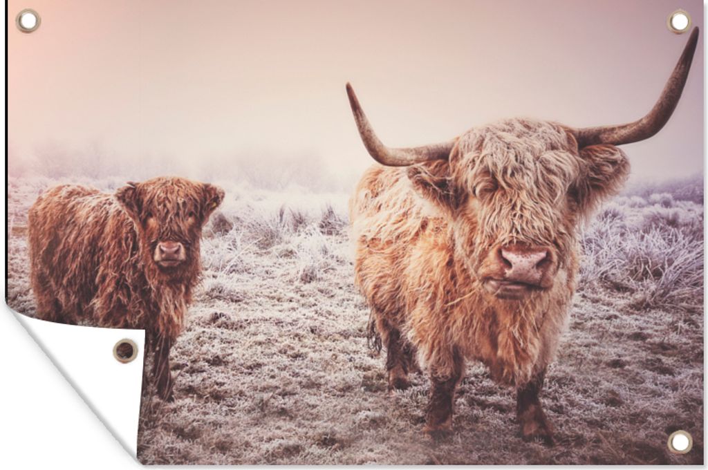 MuchoWow 90x60 cm Outdoor-Poster Gartendeko Sichtschutz Garten Poster für den Garten Schottische Hochlandbewohner - Licht - Himmel - Natur