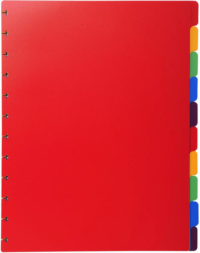 Divisori Colorati Exacompta 86003E A4 Maxi: Ordine per Buste Forate