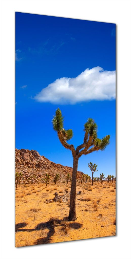 Wallario selbstklebende Duschrückwand 80 x 180 cm mit Motiv Palmlilie im Nationalpark Yucca Valley Wüstenlandschaft - Wandverkleidung mit Hochgla...