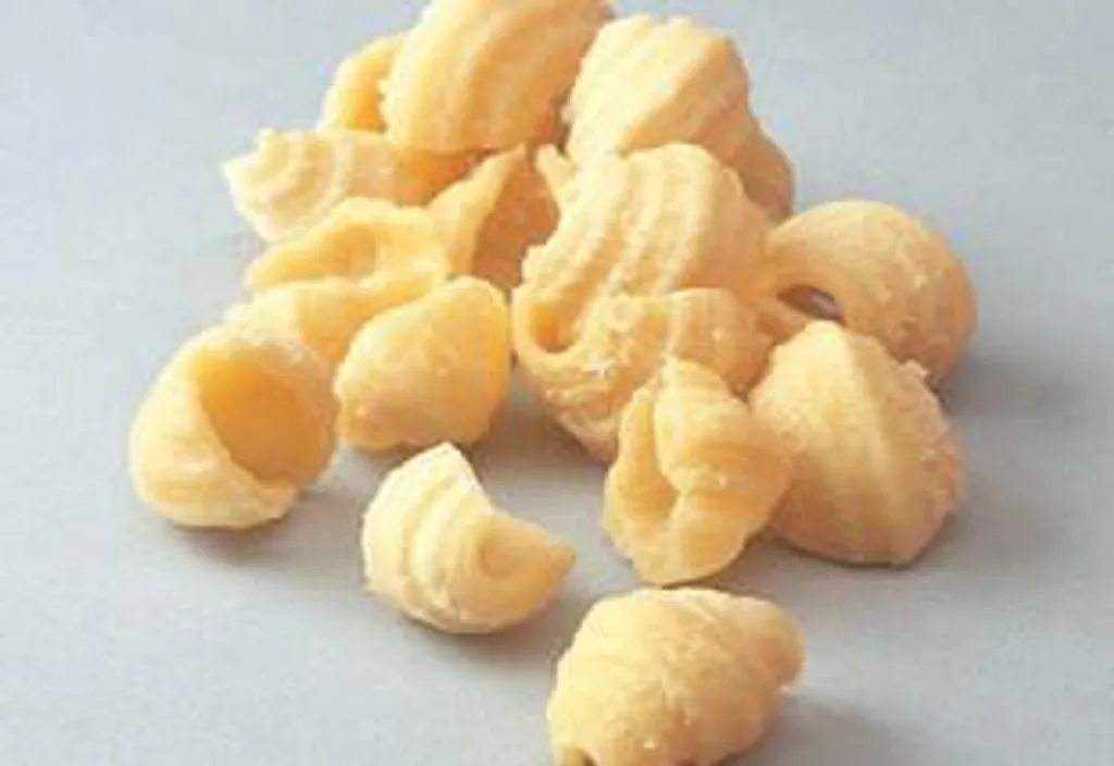 Filière Bronze Conchigliette Kenwood A910010 Robuste et Authentique