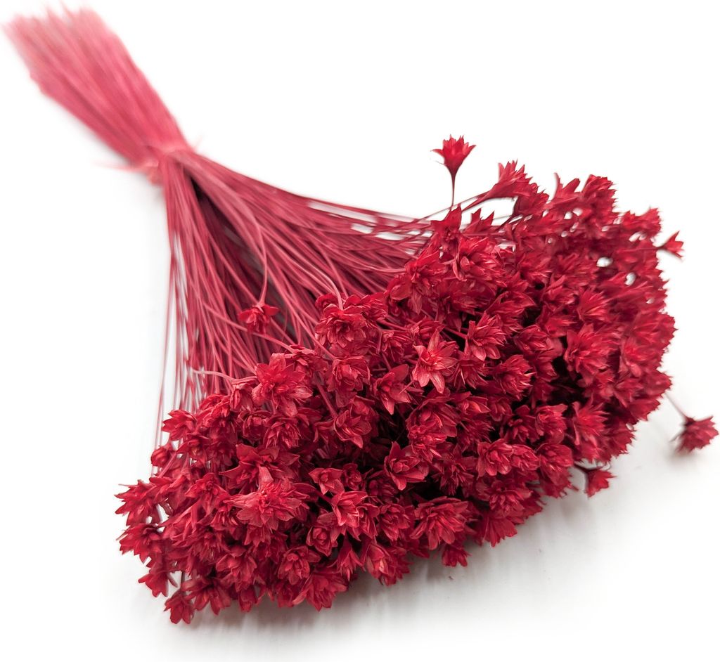 Hill Blume - Rot Produktbild 