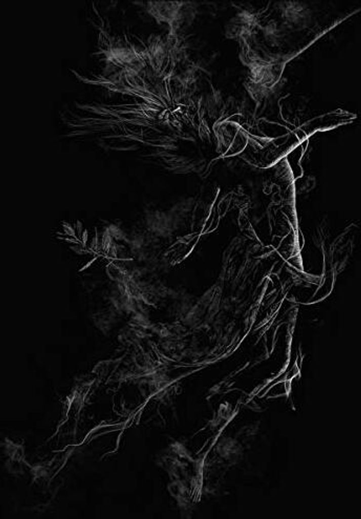 Jarboe - Illusorische CD