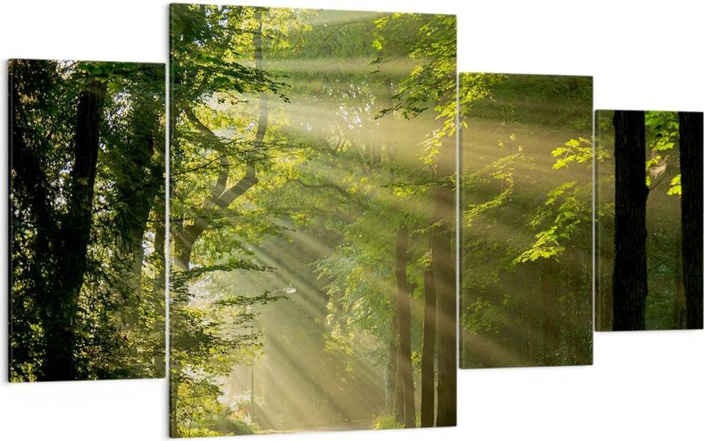 Bild auf Leinwand - Leinwandbild - Wald Baum Natur - 160x90cm - Wand Bild - Wanddeko - Wandbilder - Leinwanddruck - Bilder - Kunstdruck - Wanddekor...