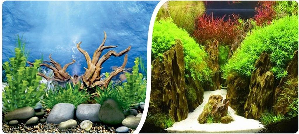 Tło fototapeta dwustronne do akwarium o wysokości 60cm Zdjęcie produktu 