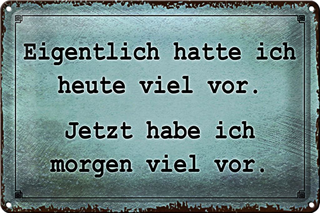 Blechschild Spruch 30x20cm eigentlich hatte ich viel vor Produktbild 